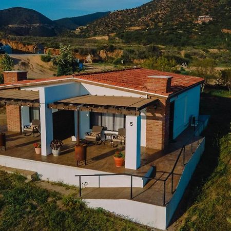 Quinta Sofia Valle De Guadalupe (Adults Only) Kültér fotó