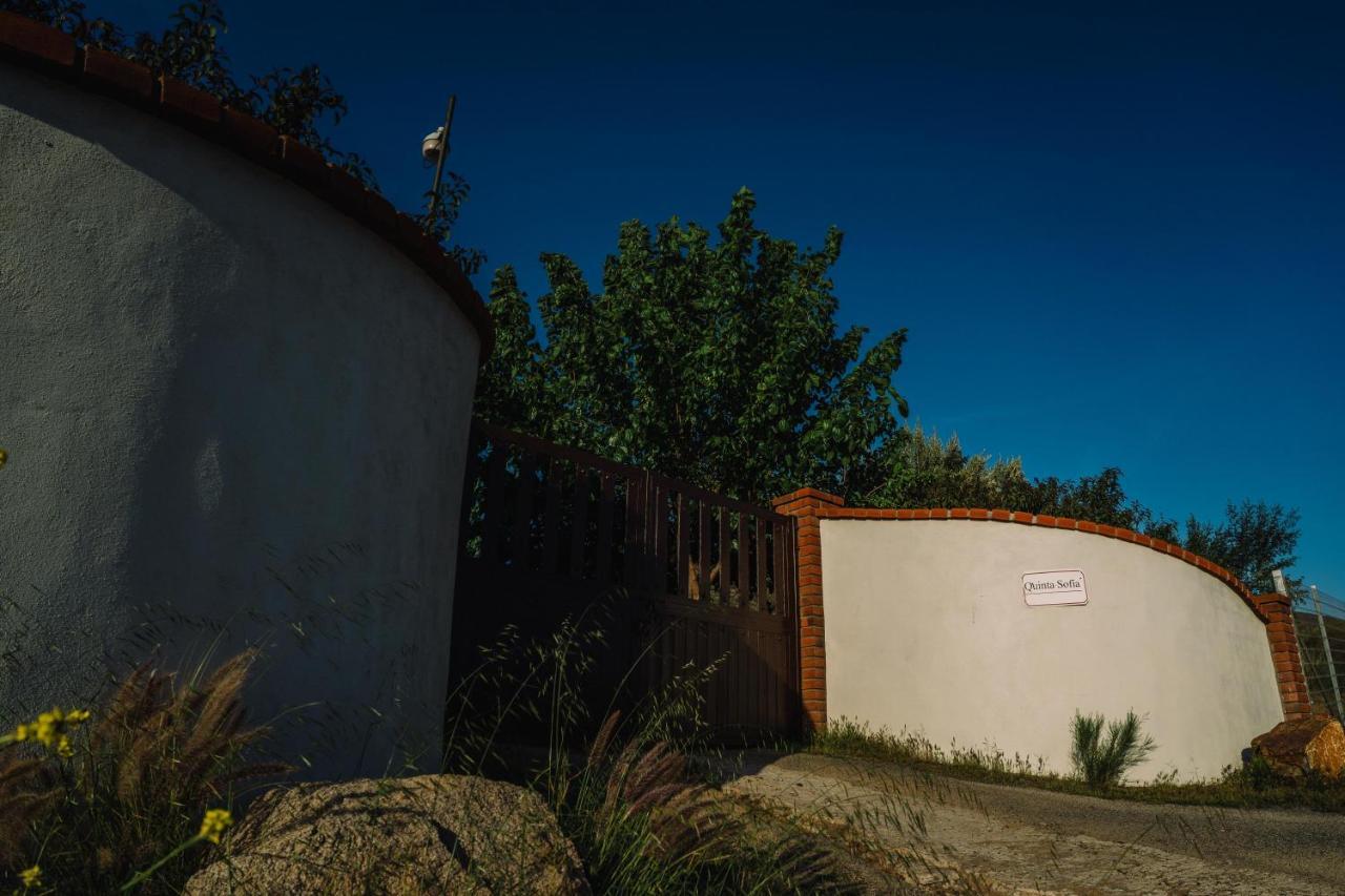 Quinta Sofia Valle De Guadalupe (Adults Only) Kültér fotó