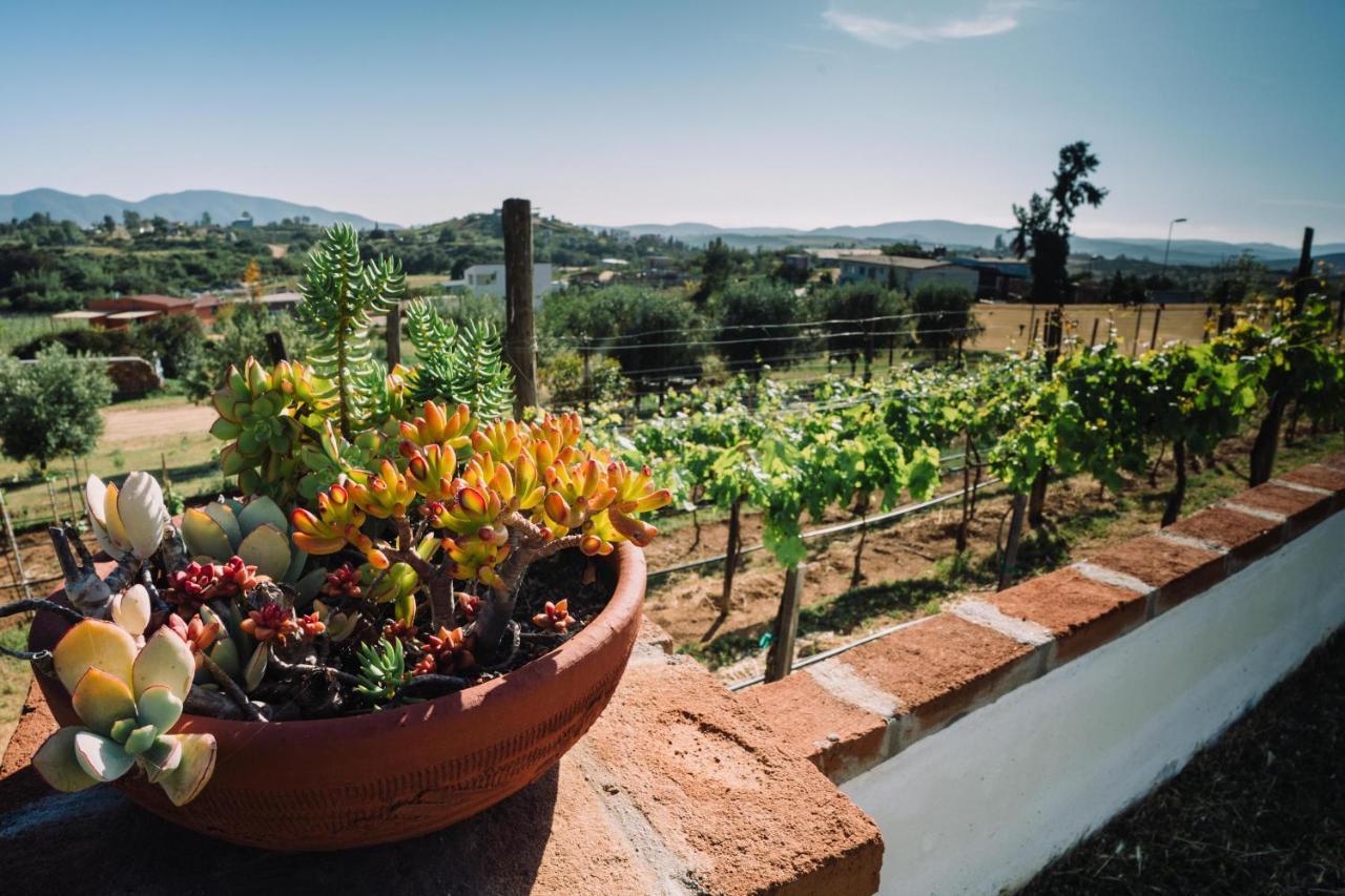 Quinta Sofia Valle De Guadalupe (Adults Only) Kültér fotó