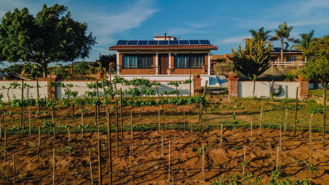 Quinta Sofia Valle De Guadalupe (Adults Only) Kültér fotó