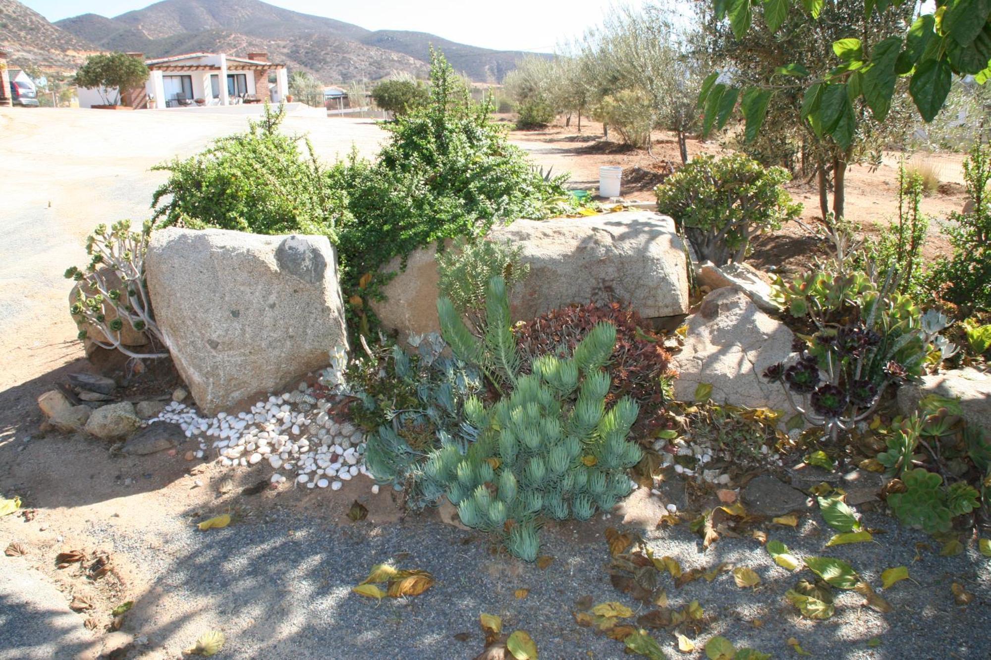 Quinta Sofia Valle De Guadalupe (Adults Only) Kültér fotó