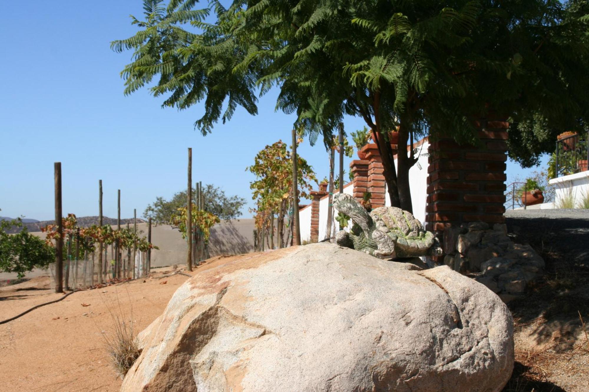 Quinta Sofia Valle De Guadalupe (Adults Only) Kültér fotó