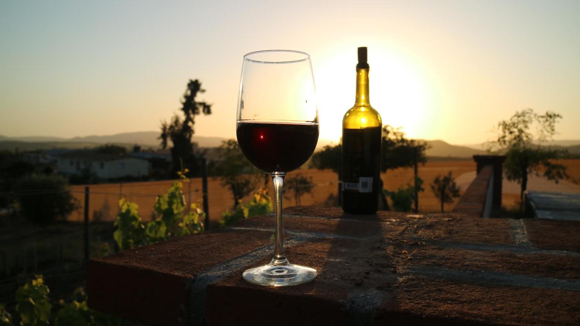 Quinta Sofia Valle De Guadalupe (Adults Only) Kültér fotó