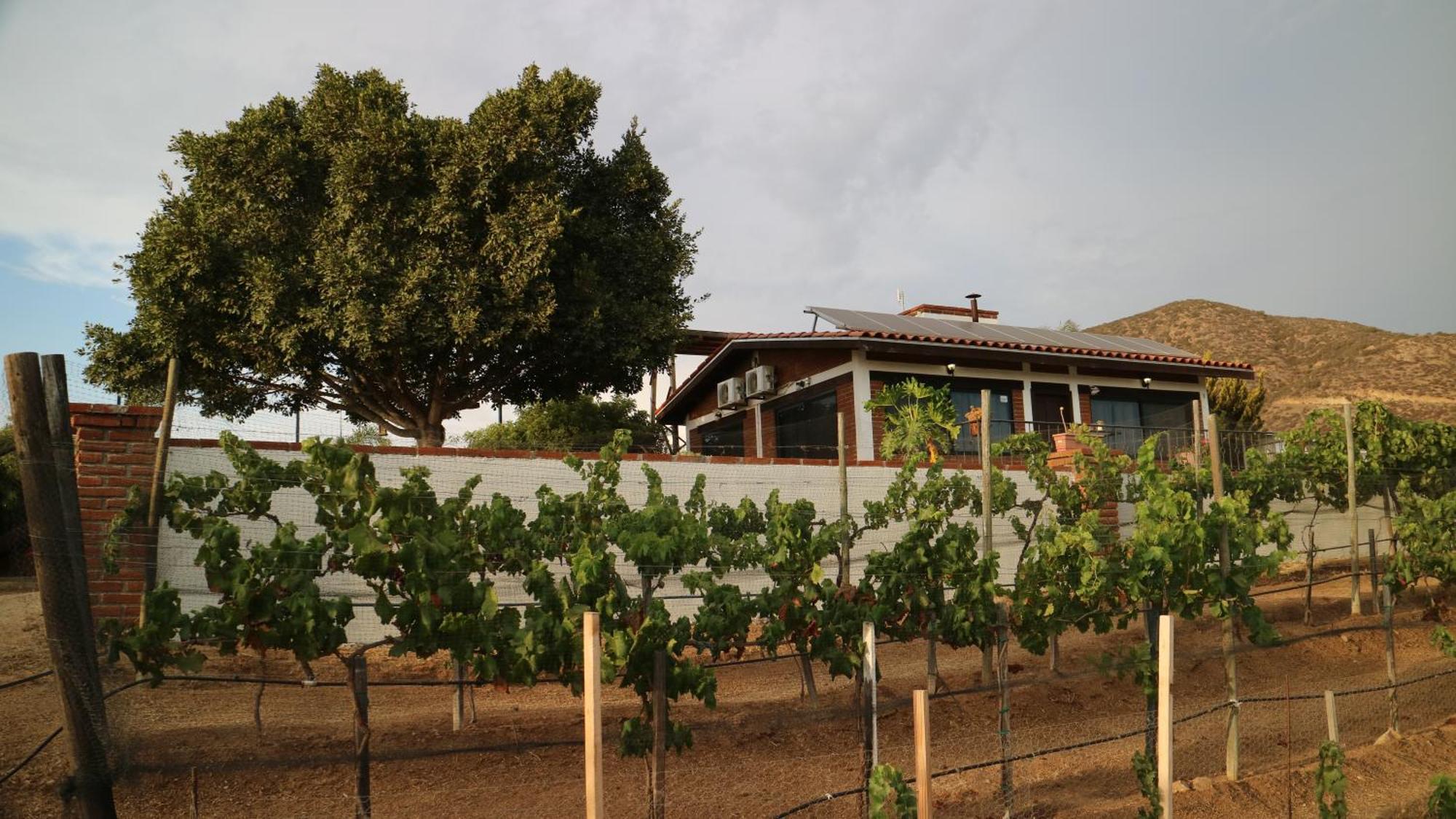 Quinta Sofia Valle De Guadalupe (Adults Only) Kültér fotó