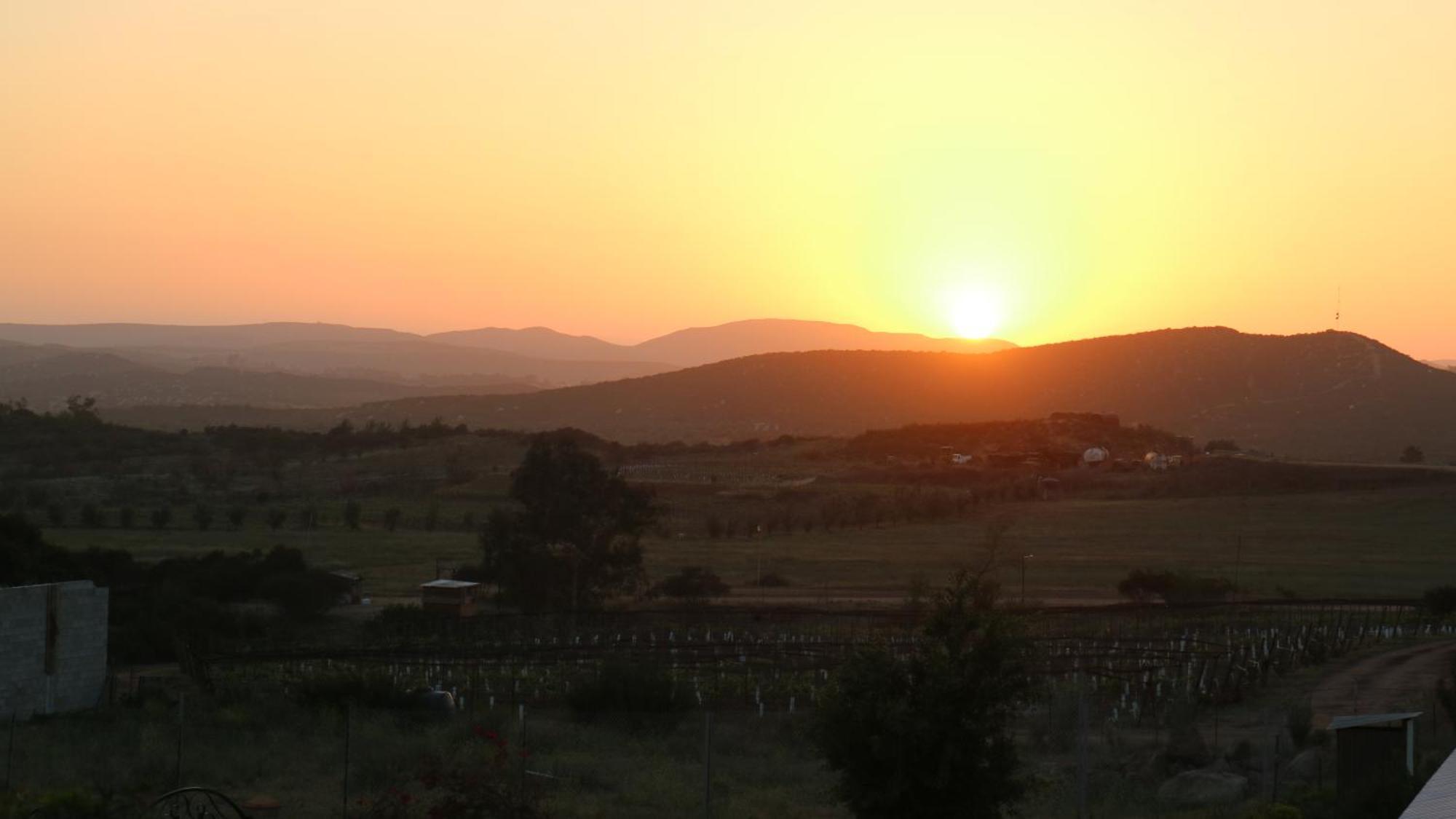 Quinta Sofia Valle De Guadalupe (Adults Only) Kültér fotó