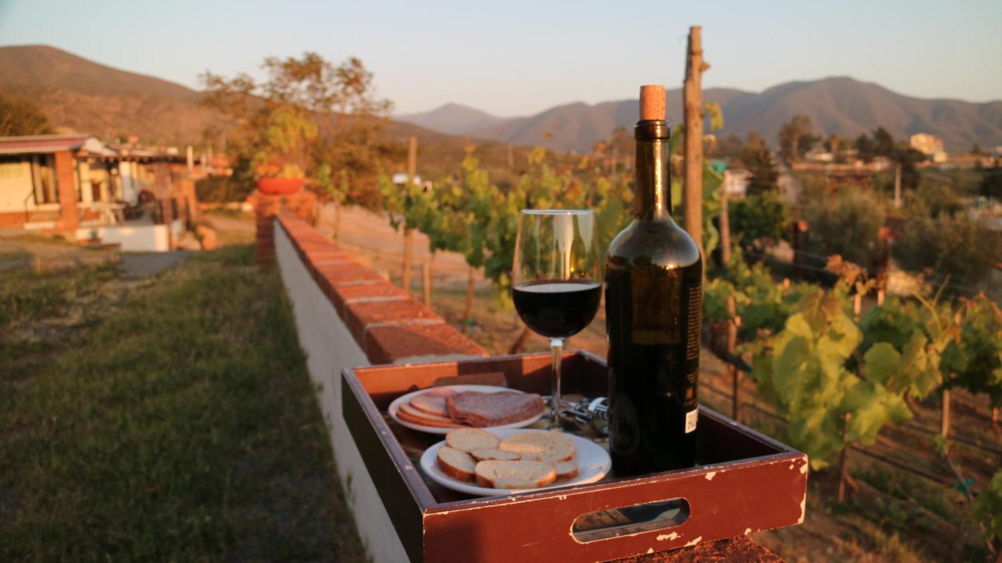 Quinta Sofia Valle De Guadalupe (Adults Only) Kültér fotó